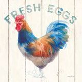 Fresh Eggs Hen by Danhui Nai. SKU 46169a. Archival Giclee Fine art print for wall decor.