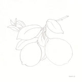 Fruitful II by Danhui Nai. SKU 85213a. Archival Giclee Fine art print for wall decor.