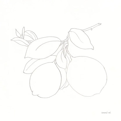 Fruitful II by Danhui Nai. SKU 85213a. Archival Giclee Fine art print for wall decor.
