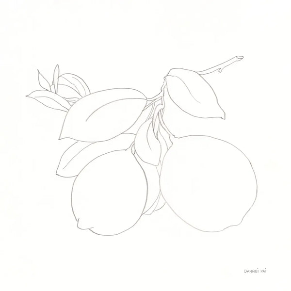 Fruitful II by Danhui Nai. SKU 85213a. Archival Giclee Fine art print for wall decor.