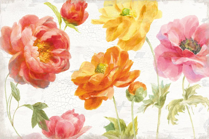 Full Bloom I by Danhui Nai. SKU 61367i. Archival Giclee Fine art print for wall decor.
