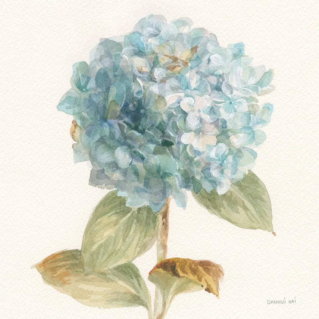 Garden Hydrangea Crop by Danhui Nai. SKU 30353a. Archival Giclee Fine art print for wall decor.