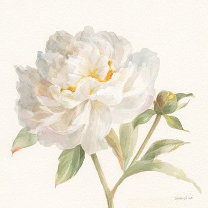 Garden Peony Crop by Danhui Nai. SKU 30352a. Archival Giclee Fine art print for wall decor.
