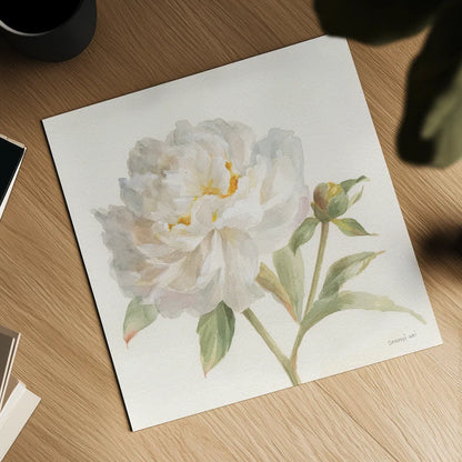 Garden Peony Crop by Danhui Nai. Shown as a detailed flat fine art print, highlighting archival giclee quality. Available as an archival giclee rolled canvas, fine art paper, or poster print. SKU 30352a.