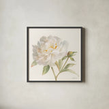 Garden Peony Crop by Danhui Nai. Shown in a sleek black glass frame for a contemporary gallery look. Available as an archival giclee rolled canvas, fine art paper, or poster print. SKU 30352a.