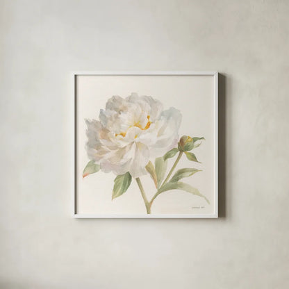 Garden Peony Crop by Danhui Nai. Shown in a crisp white glass frame for a clean and minimalist style. Available as an archival giclee rolled canvas, fine art paper, or poster print. SKU 30352a.