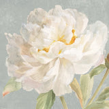 Garden Peony Neutral Crop by Danhui Nai. SKU 63221a. Archival Giclee Fine art print for wall decor.