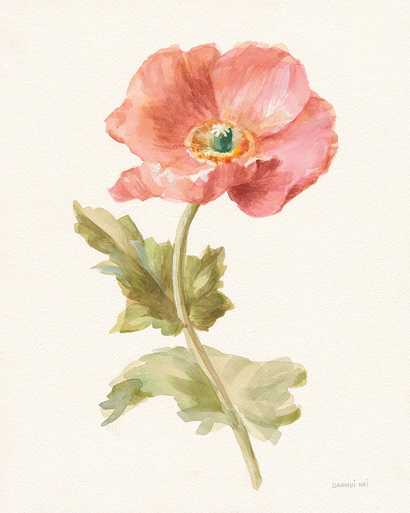 Garden Poppy by Danhui Nai