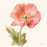 Garden Poppy Crop by Danhui Nai. SKU 30351a. Archival Giclee Fine art print for wall decor.