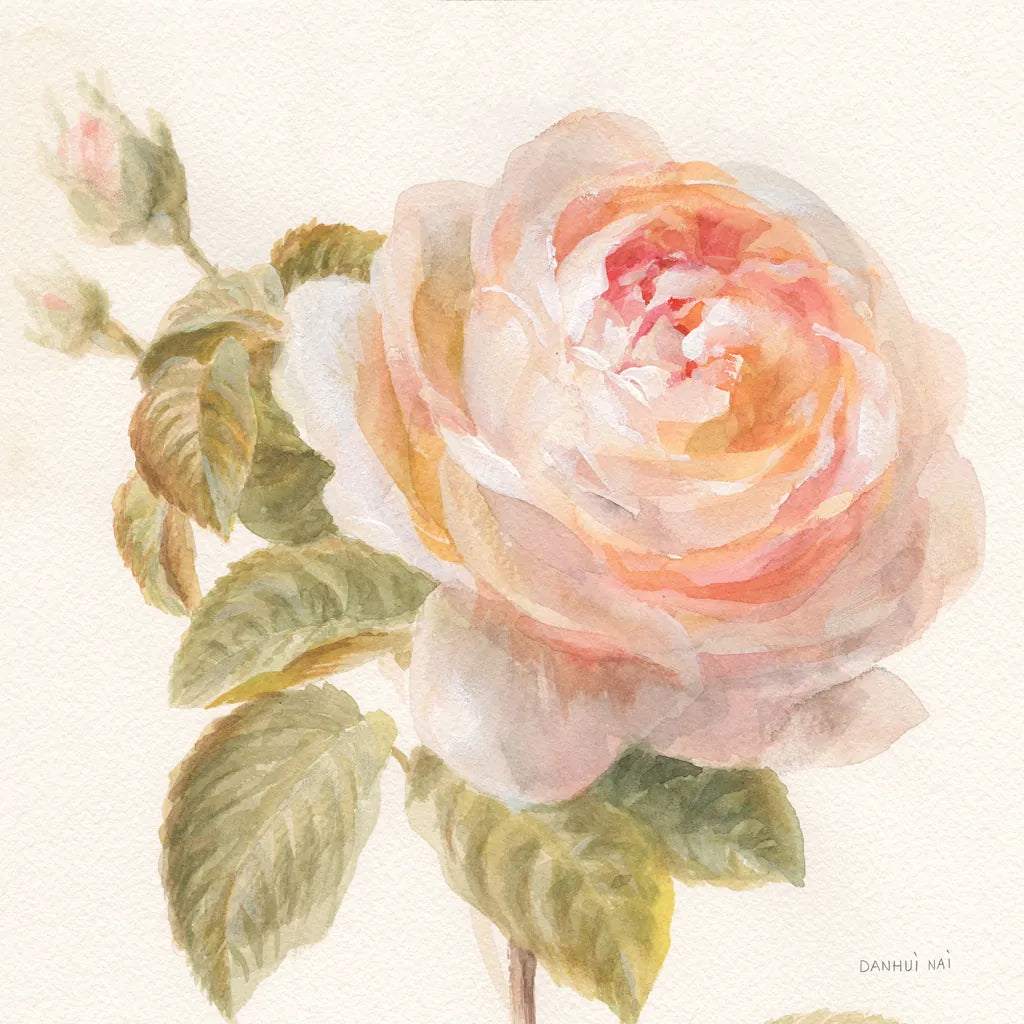 Garden Rose Crop by Danhui Nai. SKU 30354a. Archival Giclee Fine art print for wall decor.