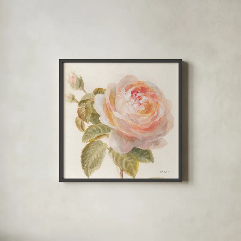 Garden Rose Crop by Danhui Nai. Shown in a sleek black glass frame for a contemporary gallery look. Available as an archival giclee rolled canvas, fine art paper, or poster print. SKU 30354a.