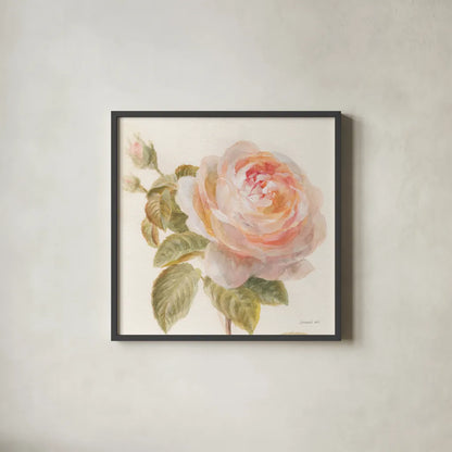 Garden Rose Crop by Danhui Nai. Shown in a sleek black glass frame for a contemporary gallery look. Available as an archival giclee rolled canvas, fine art paper, or poster print. SKU 30354a.