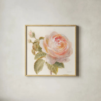 Garden Rose Crop by Danhui Nai. Shown in a natural wood glass frame for a timeless modern aesthetic. Available as an archival giclee rolled canvas, fine art paper, or poster print. SKU 30354a.