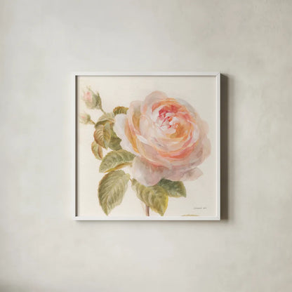 Garden Rose Crop by Danhui Nai. Shown in a crisp white glass frame for a clean and minimalist style. Available as an archival giclee rolled canvas, fine art paper, or poster print. SKU 30354a.
