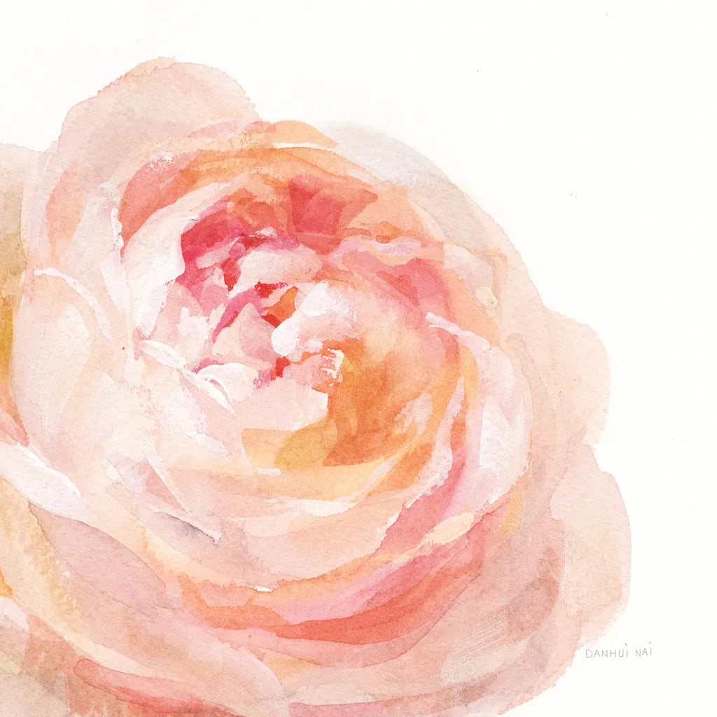 Garden Rose on White Crop by Danhui Nai. SKU 37221a. Archival Giclee Fine art print for wall decor.