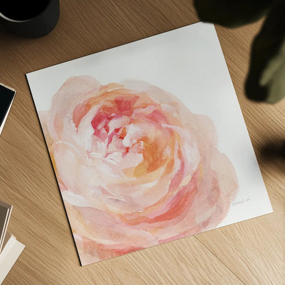 Garden Rose on White Crop by Danhui Nai. Shown as a detailed flat fine art print, highlighting archival giclee quality. Available as an archival giclee rolled canvas, fine art paper, or poster print. SKU 37221a.