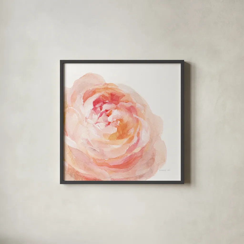 Garden Rose on White Crop by Danhui Nai. Shown in a sleek black glass frame for a contemporary gallery look. Available as an archival giclee rolled canvas, fine art paper, or poster print. SKU 37221a.