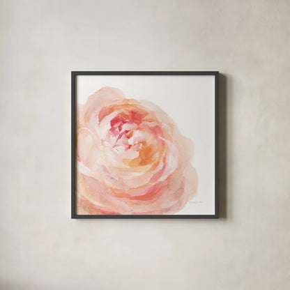 Garden Rose on White Crop by Danhui Nai. Shown in a sleek black glass frame for a contemporary gallery look. Available as an archival giclee rolled canvas, fine art paper, or poster print. SKU 37221a.