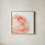 Garden Rose on White Crop by Danhui Nai. Shown in a natural wood glass frame for a timeless modern aesthetic. Available as an archival giclee rolled canvas, fine art paper, or poster print. SKU 37221a.