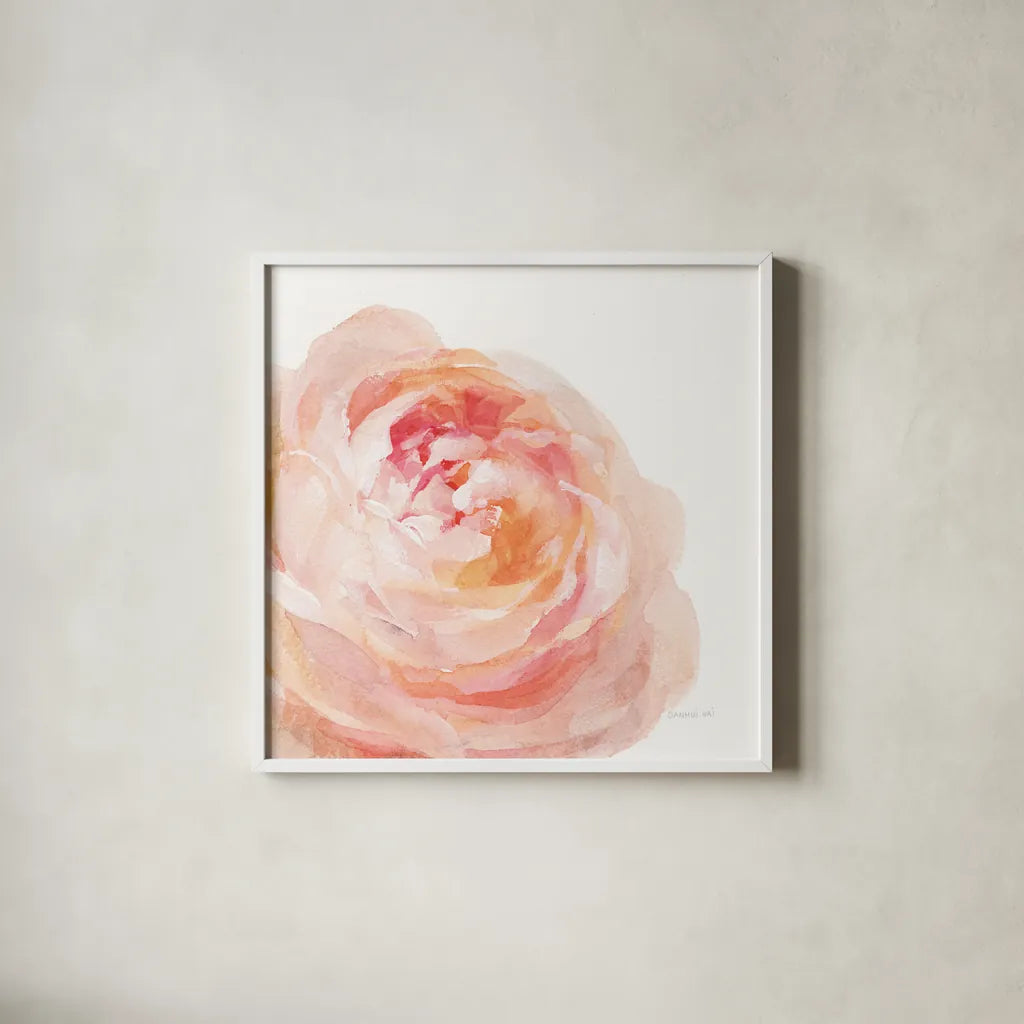 Garden Rose on White Crop by Danhui Nai. Shown in a crisp white glass frame for a clean and minimalist style. Available as an archival giclee rolled canvas, fine art paper, or poster print. SKU 37221a.