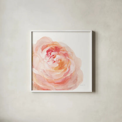 Garden Rose on White Crop by Danhui Nai. Shown in a crisp white glass frame for a clean and minimalist style. Available as an archival giclee rolled canvas, fine art paper, or poster print. SKU 37221a.