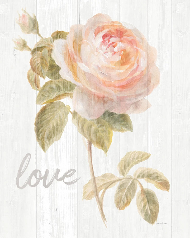 Garden Rose on Wood Love by Danhui Nai