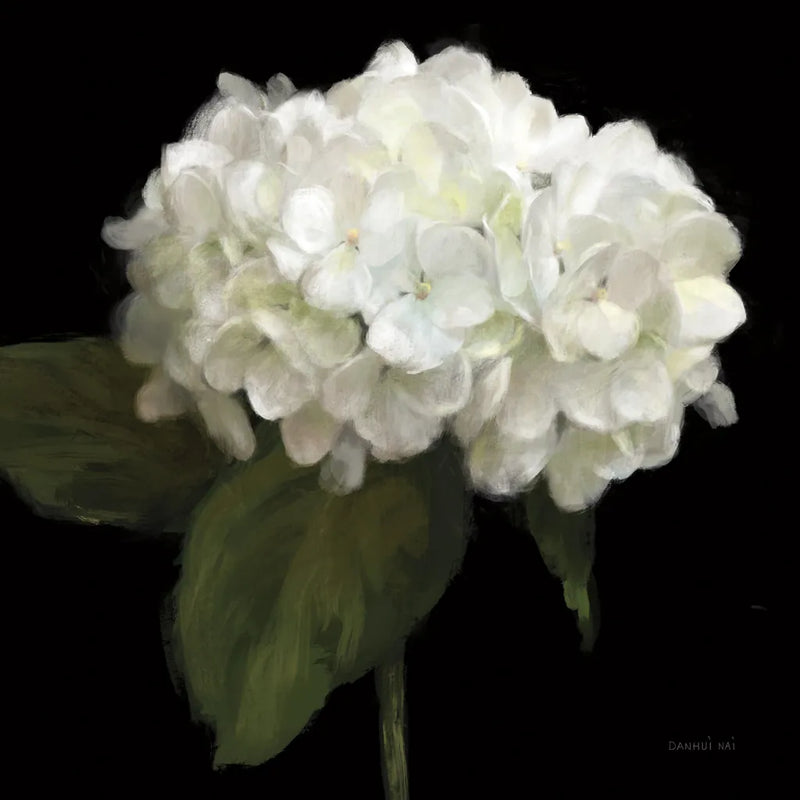 Gentle Hydrangea by Danhui Nai. SKU 103708a. Archival Giclee Fine art print for wall decor.