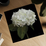 Gentle Hydrangea by Danhui Nai. Shown as a detailed flat fine art print, highlighting archival giclee quality. Available as an archival giclee rolled canvas, fine art paper, or poster print. SKU 103708a.