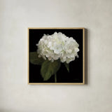 Gentle Hydrangea by Danhui Nai. Shown in a natural wood glass frame for a timeless modern aesthetic. Available as an archival giclee rolled canvas, fine art paper, or poster print. SKU 103708a.