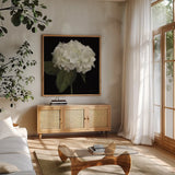 Gentle Hydrangea by Danhui Nai. Shown in a natural wood frame in a cozy modern living room. Available as an archival giclee rolled canvas, fine art paper, or poster print. SKU 103708a.