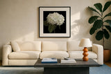 Gentle Hydrangea by Danhui Nai. Displayed in a glass frame with matte in a clean modern living room. Available as an archival giclee rolled canvas, fine art paper, or poster print. SKU 103708a.