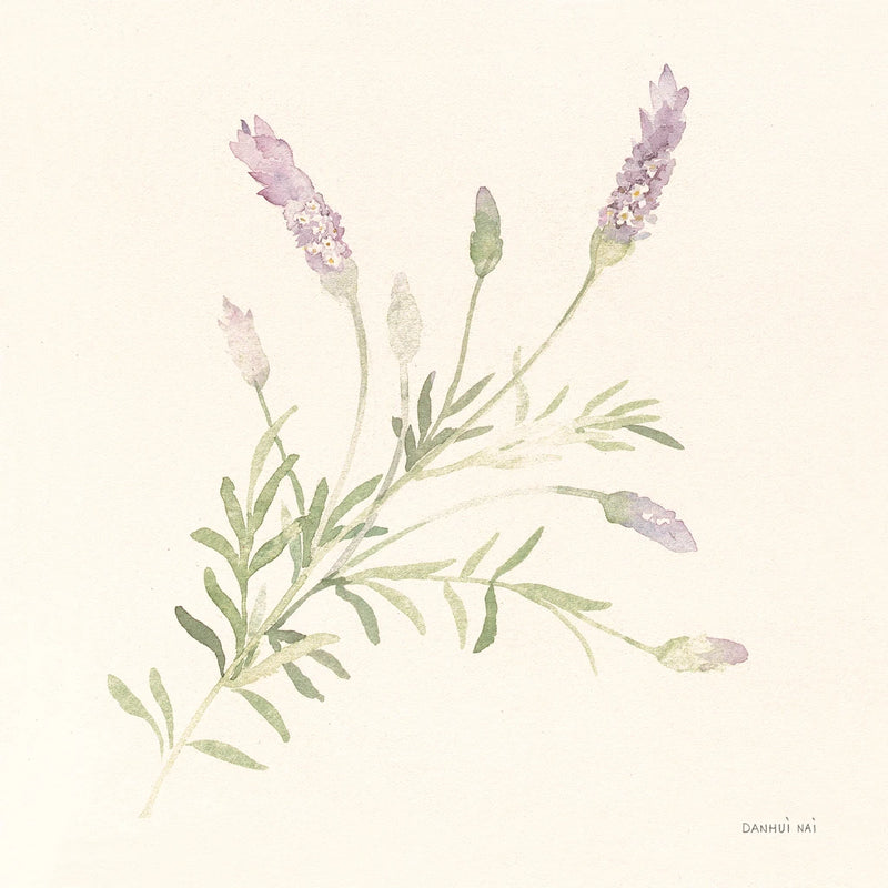 Gentle Lavender I by Danhui Nai