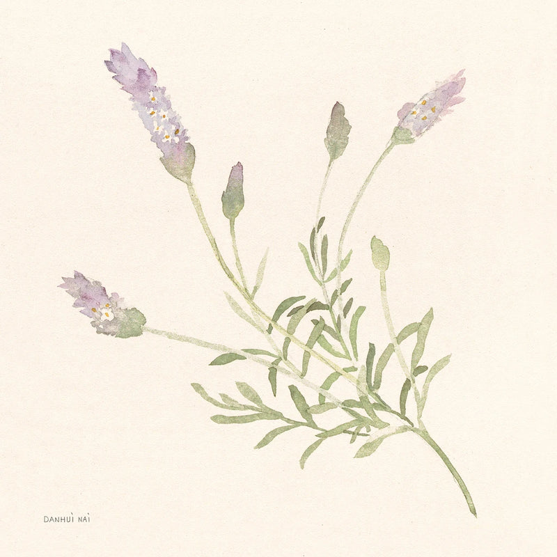 Gentle Lavender II by Danhui Nai
