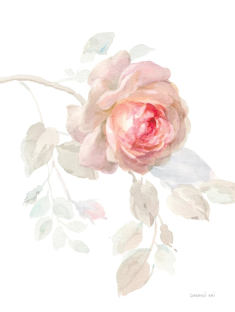 Gentle Rose I by Danhui Nai