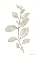 Gray Sage Leaves II on White by Danhui Nai. SKU 78805h. Archival Giclee Fine art print for wall decor.