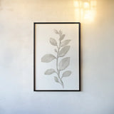 Gray Sage Leaves II on White by Danhui Nai. shown as a paper print in a black flame. Available as a archival giclee rolled canvas, fine art paper, or poster print. SKU 78805h.