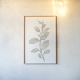 Gray Sage Leaves II on White by Danhui Nai. shown as a paper print in a natural frame. Available as a archival giclee rolled canvas, fine art paper, or poster print. SKU 78805h.