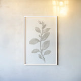 Gray Sage Leaves II on White by Danhui Nai. shown as a paper print in a white frame. Available as a archival giclee rolled canvas, fine art paper, or poster print. SKU 78805h.