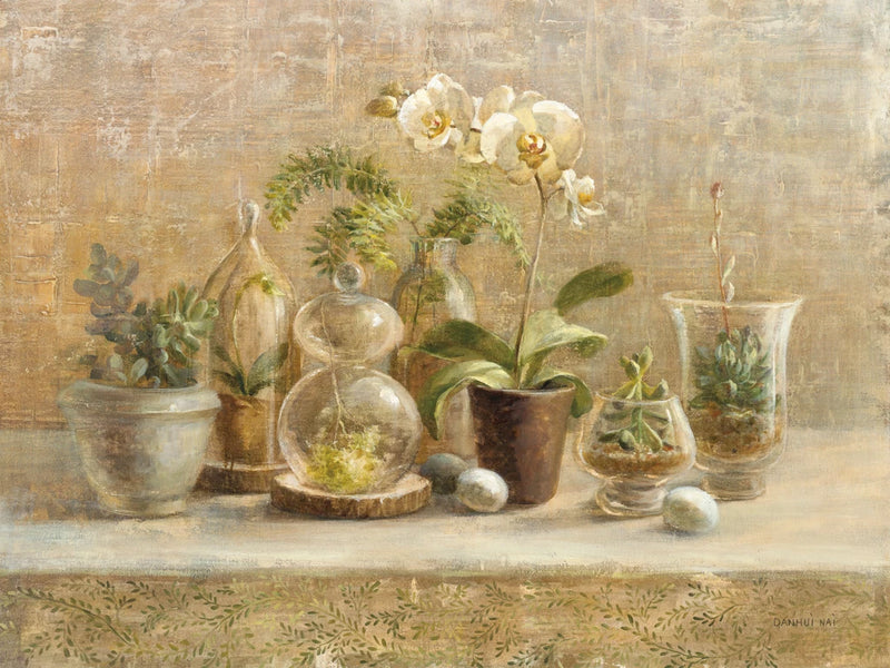 Greenhouse Orchids by Danhui Nai