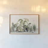 Greenhouse Orchids on Shiplap by Danhui Nai. shown as a paper print in a natural frame. Available as a archival giclee rolled canvas, fine art paper, or poster print. SKU 34577i.