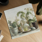 Greenhouse Orchids on Shiplap Crop by Danhui Nai. Shown as a detailed flat fine art print, highlighting archival giclee quality. Available as an archival giclee rolled canvas, fine art paper, or poster print. SKU 34577a.