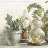 Greenhouse Orchids on Shiplap II by Danhui Nai. SKU 55193a. Archival Giclee Fine art print for wall decor.