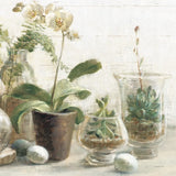 Greenhouse Orchids on Shiplap III by Danhui Nai. SKU 55194a. Archival Giclee Fine art print for wall decor.