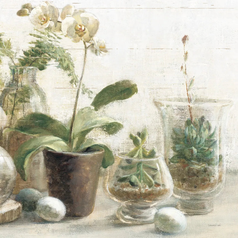 Greenhouse Orchids on Shiplap III by Danhui Nai. SKU 55194a. Archival Giclee Fine art print for wall decor.