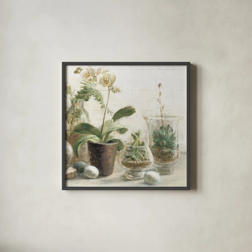 Greenhouse Orchids on Shiplap III by Danhui Nai. Shown in a sleek black glass frame for a contemporary gallery look. Available as an archival giclee rolled canvas, fine art paper, or poster print. SKU 55194a.