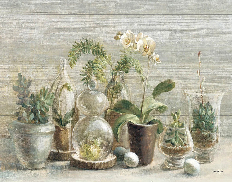 Greenhouse Orchids on Wood by Danhui Nai