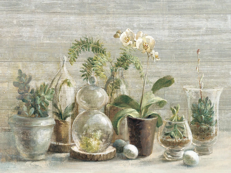 Greenhouse Orchids on Wood by Danhui Nai