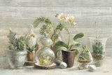 Greenhouse Orchids on Wood by Danhui Nai. SKU 22021i. Archival Giclee Fine art print for wall decor.