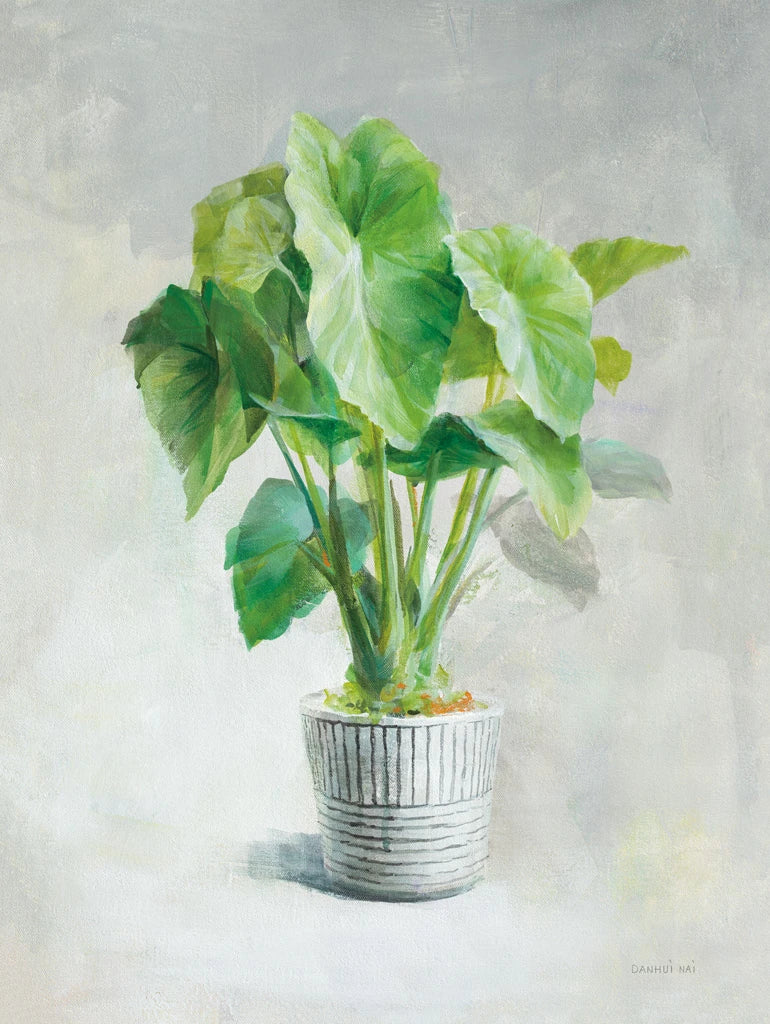 Greenhouse Palm I by Danhui Nai