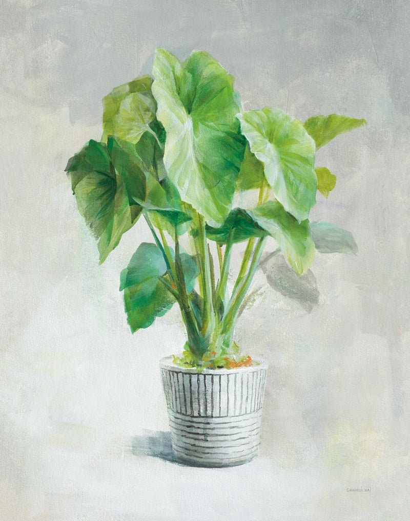 Greenhouse Palm I Crop by Danhui Nai